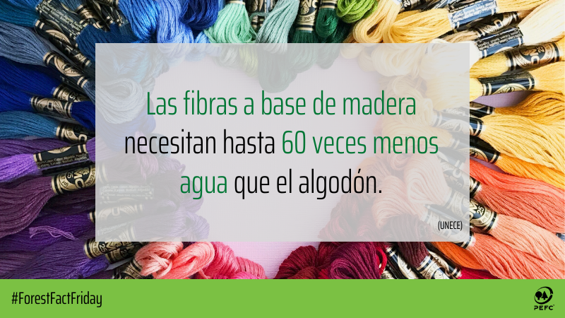 CERFOAR's tweet photo. #FFF - Forest Fact Friday
Sabías que se necesitan más de 10,000 litros de agua para producir un par de jeans. Esa es la cantidad de agua que una persona bebe en 10 años.
#PEFCtuelecciónresponsable
#20yearsofcaring https://t.co/KdnkVyMxtw