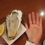 びーるダヨ!酒屋野びぃる@2/18大塚DEEPAのツイート画像