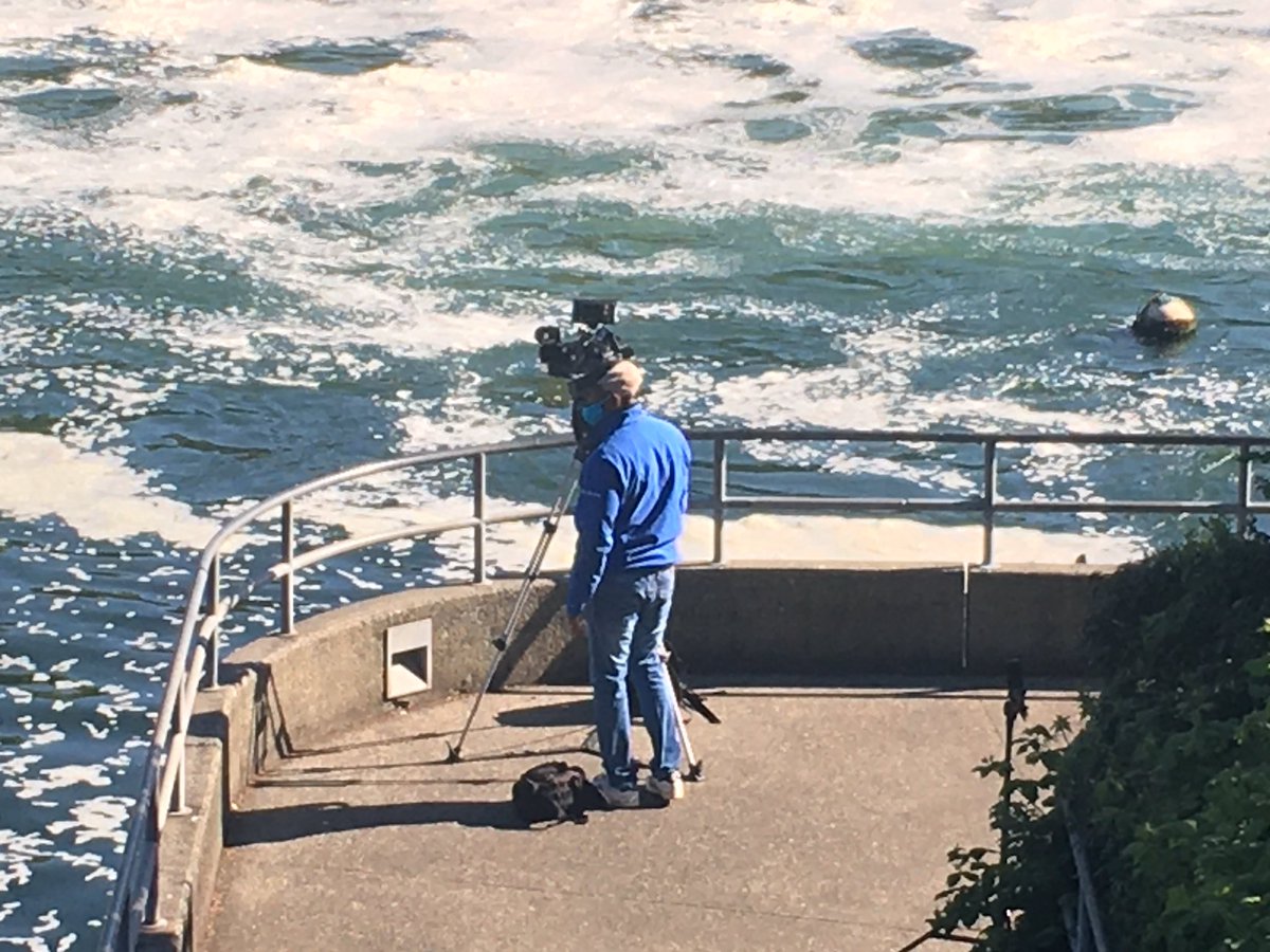 williamwilcock's tweet photo. The Thompson is entering the lock ever so slowly with crowds and the press in attendance @UWOcean @rickkeil https://t.co/KH7GXDrXrd