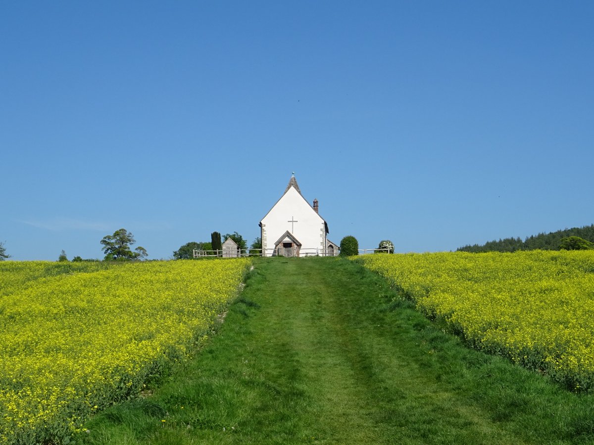 Pentahawk's tweet photo. Wonderful colours seen today on my cycle ride thru the local countryside. #Cycling #Rapeseed #Yellow #Hampshire #Idsworth #Churches https://t.co/YFE9XPoazT