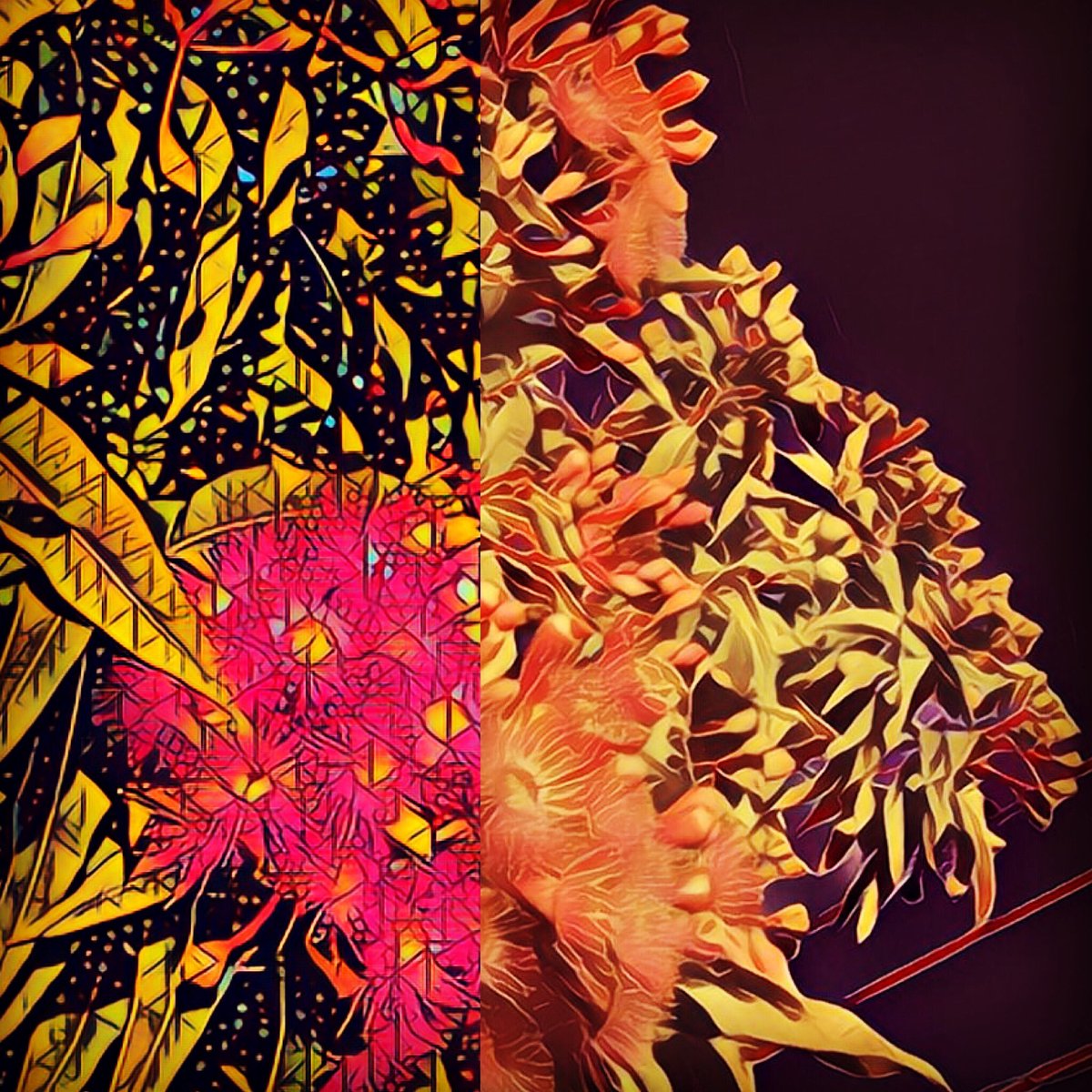 The alias formerly known as Jorge (@spudhole) on Twitter photo 