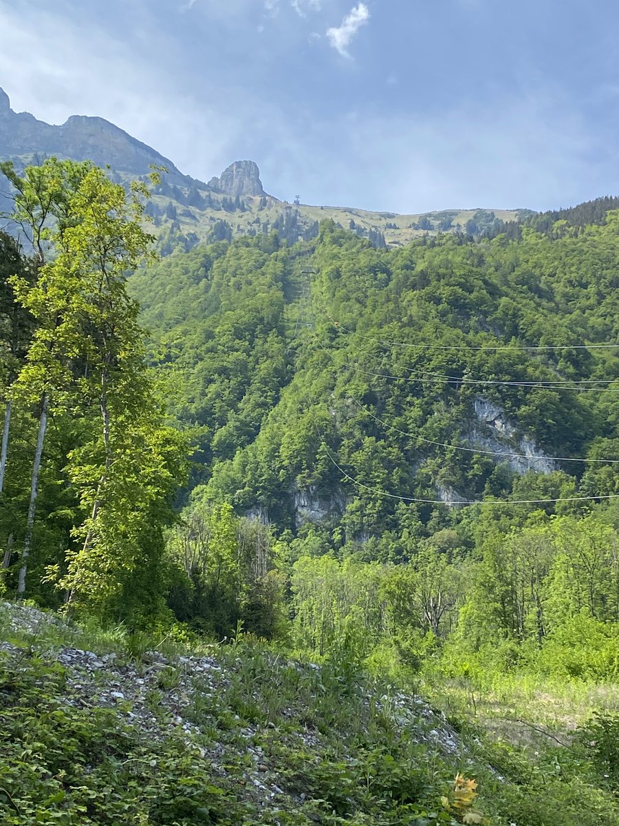 RedGlobalMxCHFL's tweet photo. Las Góndolas de #Staubern son el primer sistema alpino en el mundo que se opera de manera independiente con energía solar. En 10 minutos suben desde Frümsen hasta el centro de #Alpstein.  Y para el que practica el #senderismo, el camino por dicha montaña es maravilloso. #Suiza https://t.co/LAVa8krXik
