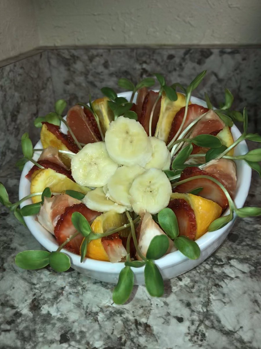 GameTimeGreens's tweet photo. Fruit Favorite: Sunflower Shoots add  the perfect sweet &amp; crunchy taste to any dish. This microgreen is one of our favorites to eat raw and goes great with any meal. Get your FREE sample today, visit https://t.co/iydQaNCY3F
#GameTimeGreens #RootofAllFuel #microgreens #urbanfarm https://t.co/O7hDbBST2N