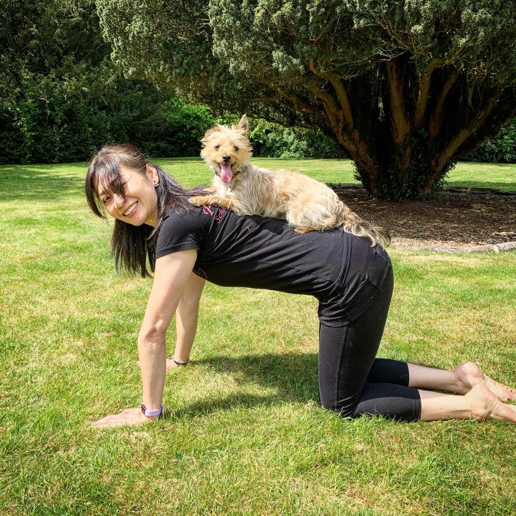 So who says you can't exercise with your dog... Me with Bella Boo the Yorkie Poo..
#pilateseveryday #pilatesinstructor #pilatesbody  #fitover50women #doglovers #dogsoftwitter #animallovers #PetsBringUsTogether #mansbestfriend #StayHomeSaveLives #Inspire #fitnessgirl
 #Mindset
