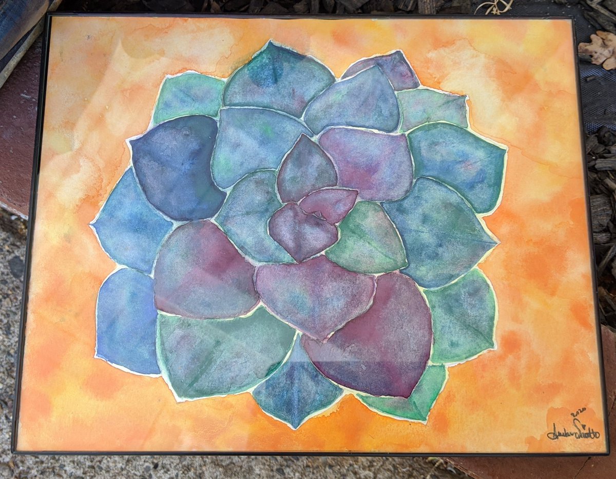 ArtsyJinx's tweet photo. #succulent #love #Watercolor @JordeTheArtist @beachygirl @ArtRetweetOk @MiguelHilargiak how have you all been!? https://t.co/5Nm4heVp7Q