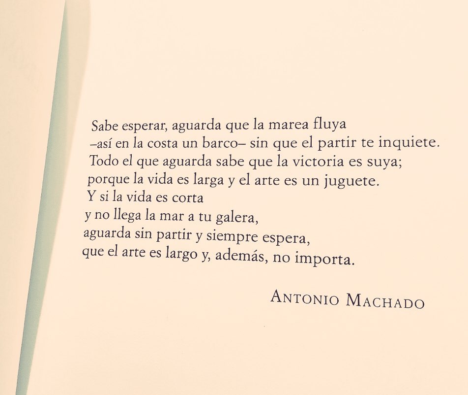 Irina Luzko Scheid tweet media