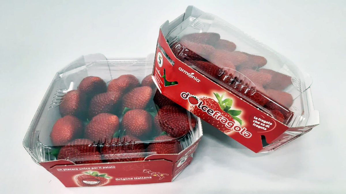 L'#ozono è già da tempo utilizzato in #ortofrutta per eliminare batteri, #virus, #muffe e allungare la shelf life del prodotto senza lasciare residui. Con il #covid19 questo gas vede ora applicazioni più ampie. Ce ne parla Marco Eleuteri di #OpArmonia fruitbookmagazine.it/covid-19-sanif…