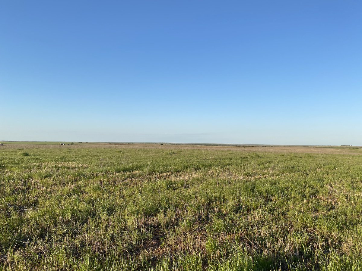 mutual_ok's tweet photo. Happy #Friday Oklahoma. Have a great and safe weekend. Get out and enjoy the state and be safe. Just remember we have you covered. #protectionnotpolitics https://t.co/dfGSj00yrf