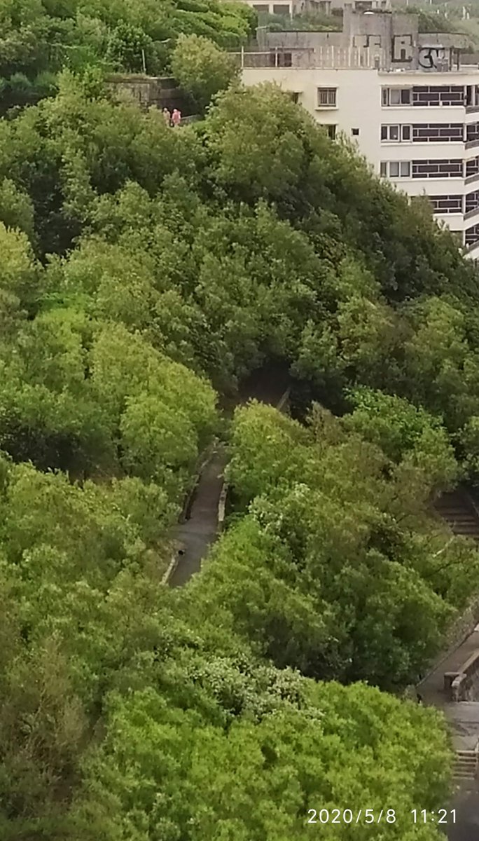 piconlemovice's tweet image. Ils se voyaient comme un ver🤡🤣🤔 dans une pomme. Deux personnes en beige et rose, dans un endroit interdit à cause du confinement, Oui il y a vraiment du laisser Aller, du relâchement de la maréchaussée et du garde champêtre à #biarritz #cotedesbasque #paysbasque #8Mai2020