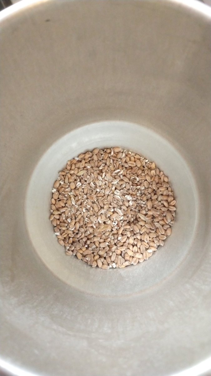 BrewBand's tweet photo. Preparando la malta para mañana, un poco de trigo nunca viene mal... 🍻 #homebrew https://t.co/32Pm1z9KFQ