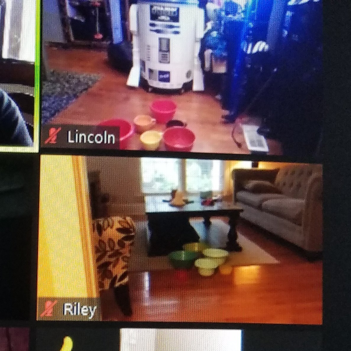 mes2nd's tweet photo. I will miss these sweet faces on my daily Zoom Classroom... We want to give a great big SHOUT OUT to Coach Traylor for organizing Virtual Field Day... My Second Graders had so much fun participating in Bowl Ball... 
#MurraySchools
#HealthyAtHome 
#NationalFieldDay https://t.co/PEyEHhKGP6