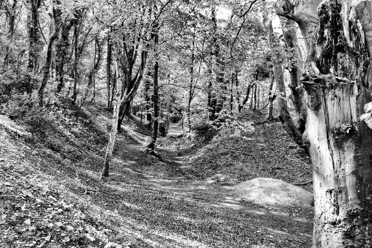 andyradka's tweet photo. 'Corona walk 6' around Pickering in Yorkshire
#yorkshireinblackandwhite #Yorkshire #blackandwhitephotos #blackandwhitephotography #blackandwhite #blackandwhitephoto #Monochrome #monochromephotography #Yorkshireis #Radka #Pickering #Pentax #BWPMag #aperturefnd #BlackMinimalism https://t.co/ZQAj9FoXQD