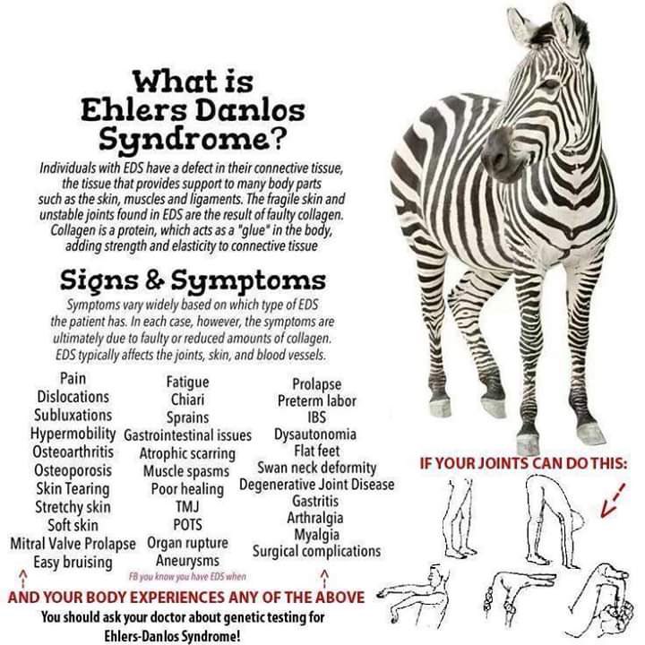 Happy #EDSAwarenessMonth! #spoonie #chronicillness #ChronicPain #zebra