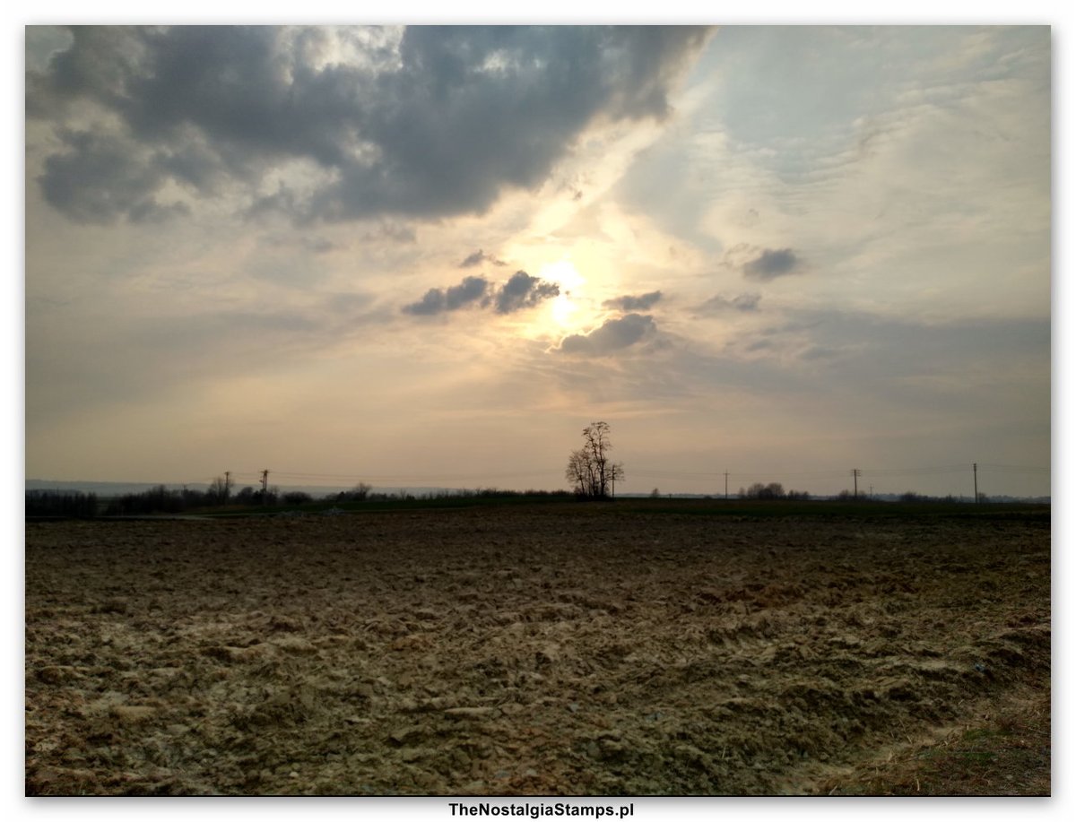 TheBloggerpl's tweet photo. https://t.co/upNyedfwNT - Beautiful Picture !!! Zdjęcie zrobione podczas zachodzącego słońca okolice Łańcuta ... miejscowość Sonina :)  #polska #Poland #podkarpacie #photography #photo 
Zapraszam na naszą grupę na FB: The Blogger Polska Fans
Website: https://t.co/PSZmDcfsTT https://t.co/FPwm8O4Rvf