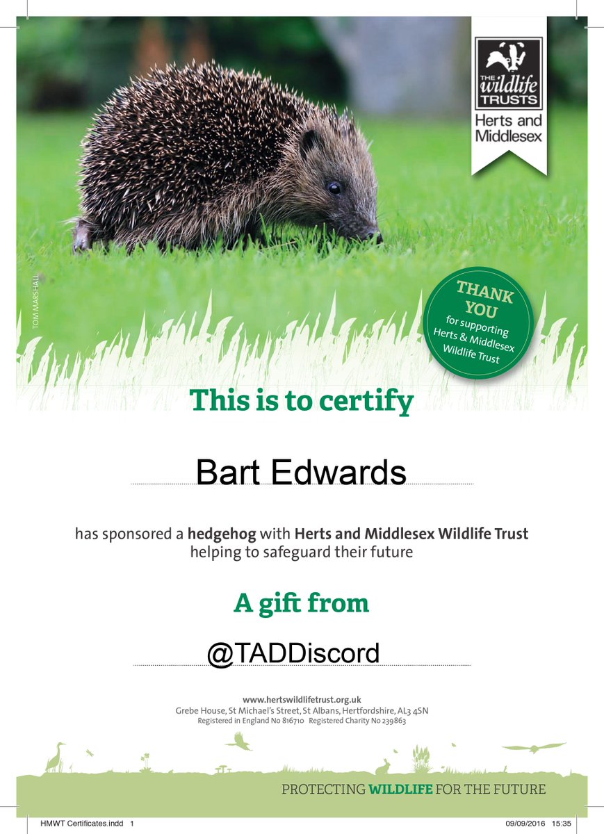 🜁FO of Vicovaro tweet media