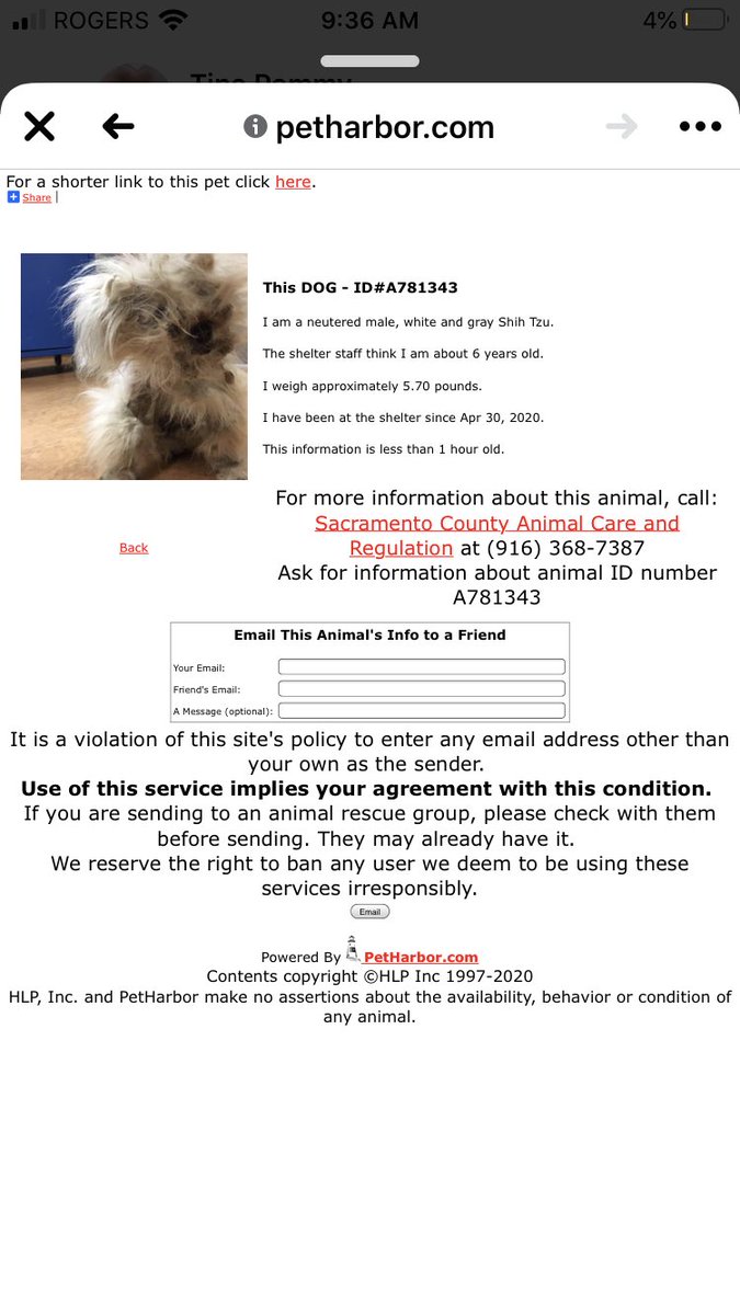 rescuenetworkbc's tweet photo. #sacramento @savingcarson @iloverescue @california_dogs #pullhim #codereddog can someone please save this poor guy?! he’s been there since april 30 and still under lost and found! @GratefulDogsSF @rescuedogs101 https://t.co/Orte6hJwx7
