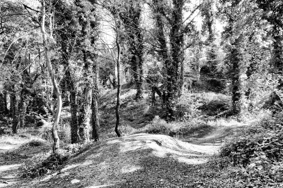 andyradka's tweet photo. 'Corona walk 6' around Pickering in Yorkshire
#yorkshireinblackandwhite #Yorkshire #blackandwhitephotos #blackandwhitephotography #blackandwhite #blackandwhitephoto #Monochrome #monochromephotography #Yorkshireis #Radka #Pickering #Pentax #BWPMag #aperturefnd #BlackMinimalism https://t.co/p3WW3prSPb