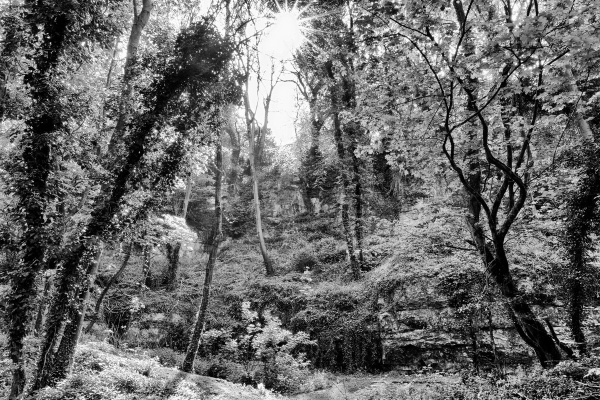 andyradka's tweet photo. 'Corona walk 6' around Pickering in Yorkshire
#yorkshireinblackandwhite #Yorkshire #blackandwhitephotos #blackandwhitephotography #blackandwhite #blackandwhitephoto #Monochrome #monochromephotography #Yorkshireis #Radka #Pickering #Pentax #BWPMag #aperturefnd #BlackMinimalism https://t.co/JpslFwek1V