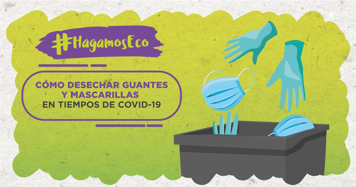 CTTSanGregorio's tweet photo. #HagamosEco | Estos días, el uso de guantes y mascarillas ha aumentado a nivel mundial. Un verdadero héroe del reciclaje sabe cómo desecharlos adecuadamente. ¡Conócelo aquí!👇♻️🇪🇨 

@reciveci @redesconrostro @Tesaliacbc @USGPOFICIAL @CTTSanGregorio @Crucitaldp https://t.co/ZOxqBKO8JL
