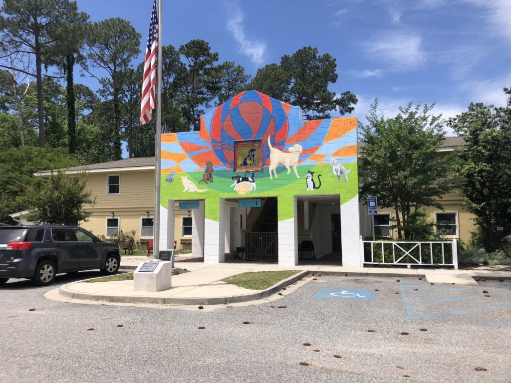 MCongedoTV's tweet image. The @HumaneFor is usually filled with dogs and today there wasn’t a bark to be heard! The Humane Society says since the pandemic started 90 dogs &amp;amp; cats have been either adopted or fostered. 50 of those were in April! I’ll have more on this story tonight at 7. @WTOC11