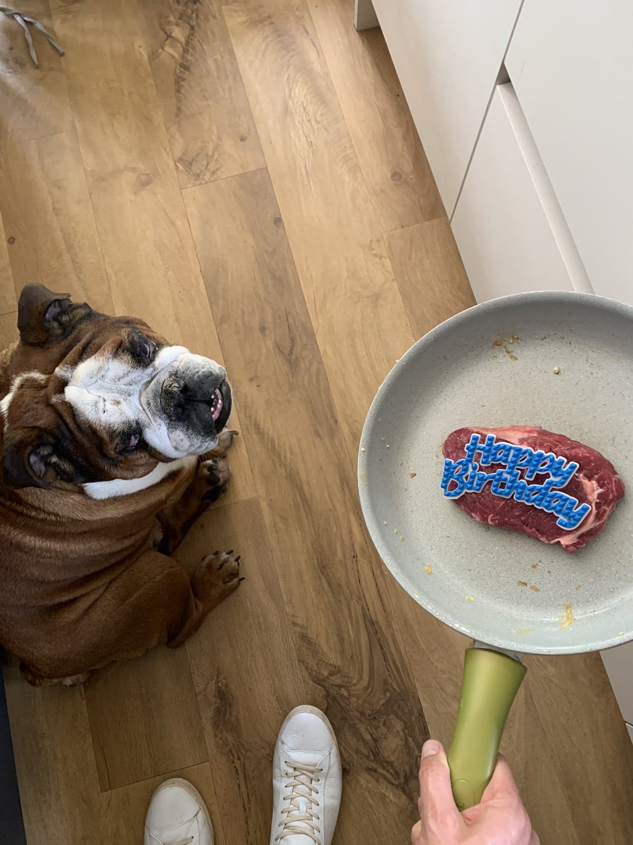 EnzoBulldog's tweet photo. Apparently I’m 7 years young today! So the hoomans spoiled me with a birthday rib-eye 🥩. Any birthday wishes are very welcome! But... Most importantly Happy #VEDay75 #British #Bulldog #BulldogPride #ProudToBeEnglishbulldog https://t.co/XgFXaLSG3i