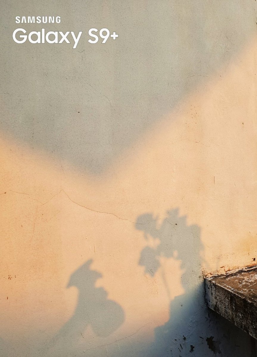 manda__berry's tweet photo. @samsungID @radenrauf Semangat kerja tentu bukan jadi penghalang bersih-bersih rumah. #Dirumahaja menjadikan kreativitas tetap ada, walau bahan terbatas.
@samsung_id  #GalaxyS20 #WithGalaxy #FoundWithGalaxy https://t.co/j2qPpKjWE0