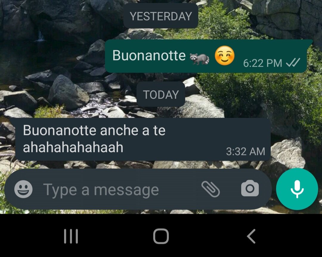 Well he did respond...by LAUGHING at me. I mean sure maybe he was laughing at the raccoon cause we don't have them in Italy. Or laughing cause I also laugh a lot.But I'm pretty sure he's just laughing AT ME. Why do I even trrrrrrerreyyyuyyyyyysyeyeyegvsbsjwksksnsjsnsnsn