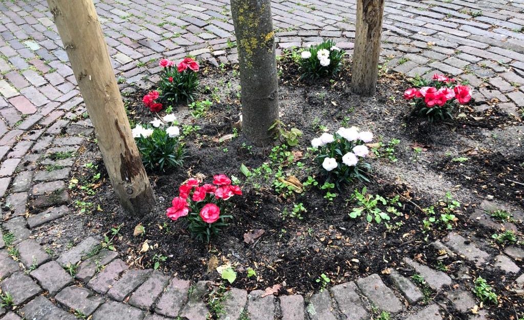 buurkracht's tweet photo. Op 18 mei is het #plantjesdag. Mooie reden om samen met de #buren de straat vol bloemen te zetten. Doe je mee? 
Start een actie in de buurkracht-app, nodig je buren uit en wij helpen je een handje mee, met een online plantjescadeaukaart. https://t.co/wrxIV8QZmv https://t.co/G60wRJVxH3