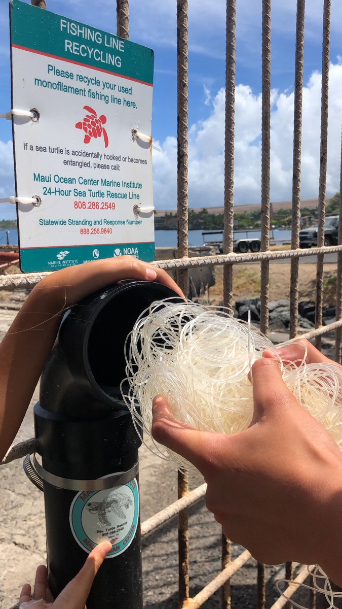 Mahalo nui loa to all of our local fishers that have been utilizing our Fishing Line Recycling Bins. Also, mahalo to those beach goers who pick up fishing line and dispose of them into our bins. We are very appreciative of you all - together, we can make a difference!