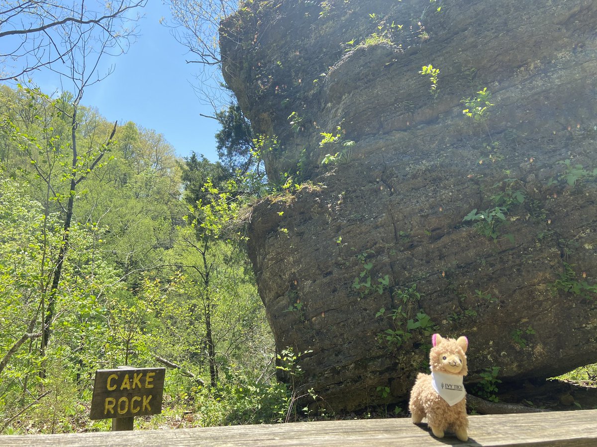 IvyLburgBville's tweet photo. Ludwig spotting!

During this time it’s still important to get some exercise! 

Did you know.. Being in nature can boost your mood and improve mental health? Spending quality time in the great outdoors reduces stress, calms anxiety, and can lead to a lower risk of depression. https://t.co/ouqR0GmzQB