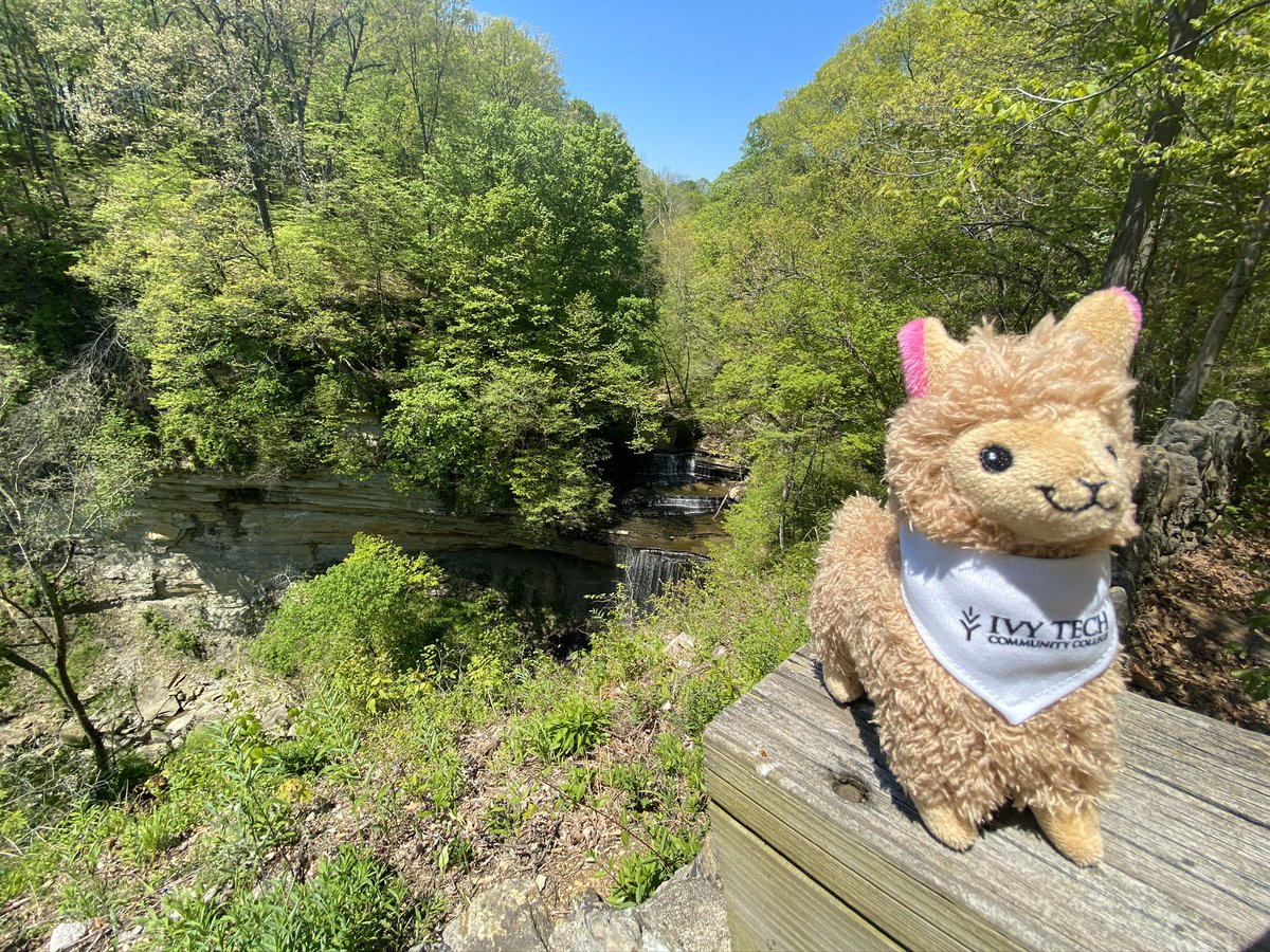 IvyLburgBville's tweet photo. Ludwig spotting!

During this time it’s still important to get some exercise! 

Did you know.. Being in nature can boost your mood and improve mental health? Spending quality time in the great outdoors reduces stress, calms anxiety, and can lead to a lower risk of depression. https://t.co/ouqR0GmzQB
