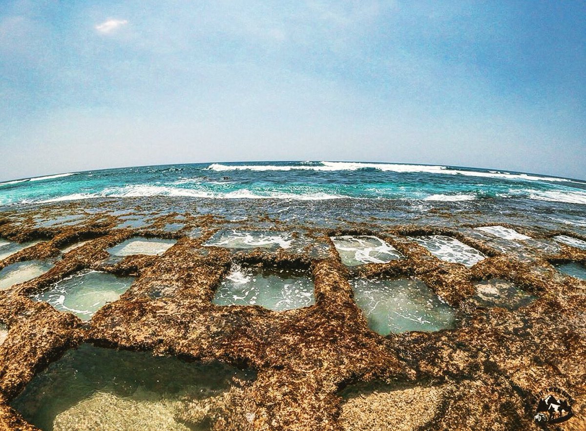 Thalpe beach, Sri Lanka 🏝
#thalpebeach #beach #poolside #beachlife #beachvibes #beachphotoshoot #travelphotography #traveler #travelgram #travelblogger #photography #photographer #photographylovers #visitsrilanka #tourism #srilankatravel #SriLanka