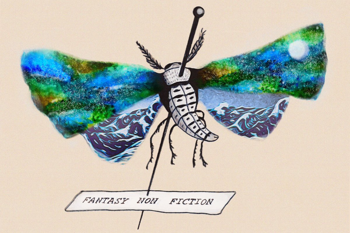 Fantasy Non Fiction tweet media