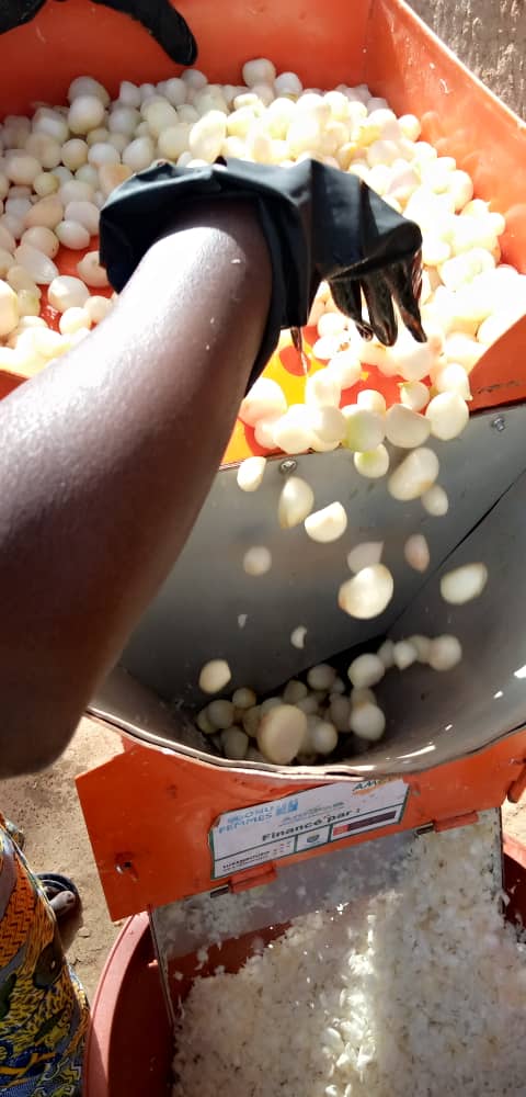 ONG_Amedd's tweet photo. Après avoir reçu une formation et les équipements de transformation( découpeuse motorisée et séchoir solaire) par ONG #AMEDD, la coopérative des femmes de Bamako-coura dans la commune de #Kokry, cercle de Macina continue la transformation de l'échalote.
#MYS
#AgriFeD
@ONUFemmes https://t.co/gW6mDzXX9m