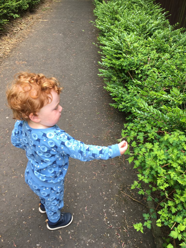 DiaryConnors's tweet photo. LOCKDOWN DAY 45 &amp; 46

Been to busy exploring with mum to spend time on Social Media......Not much exciting to report really, walks, eats and Asda trips...Hope you’re all safe and sane 😘 https://t.co/pDANc8hMRY