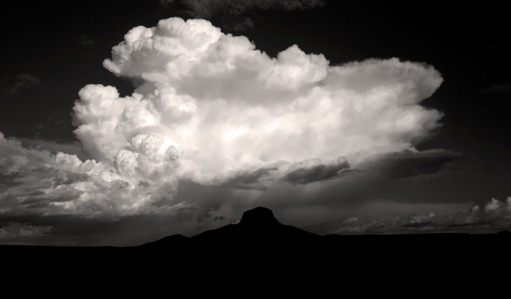 ���� ���� ������ �� ���� ������