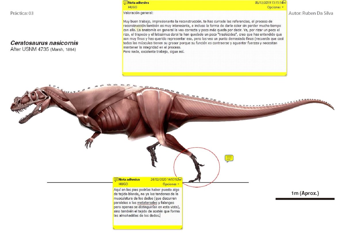 ILLUSTRACIENCIA tweet media