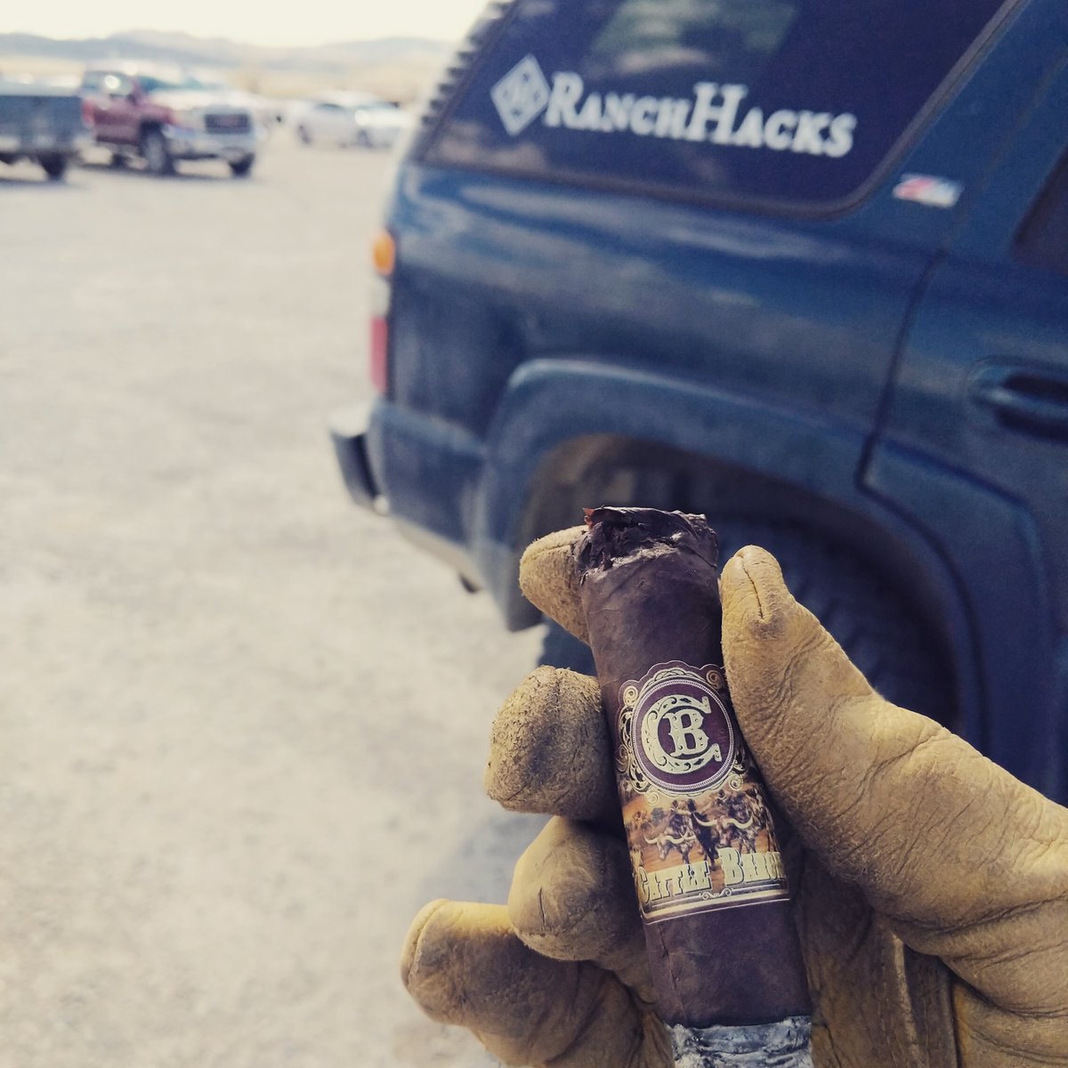 ranchhacks's tweet image. It's a gorgeous day to sell cattle at Dillon Livestock Auction. Finishing the work day with Cattle Baron Cigar's Maduro.