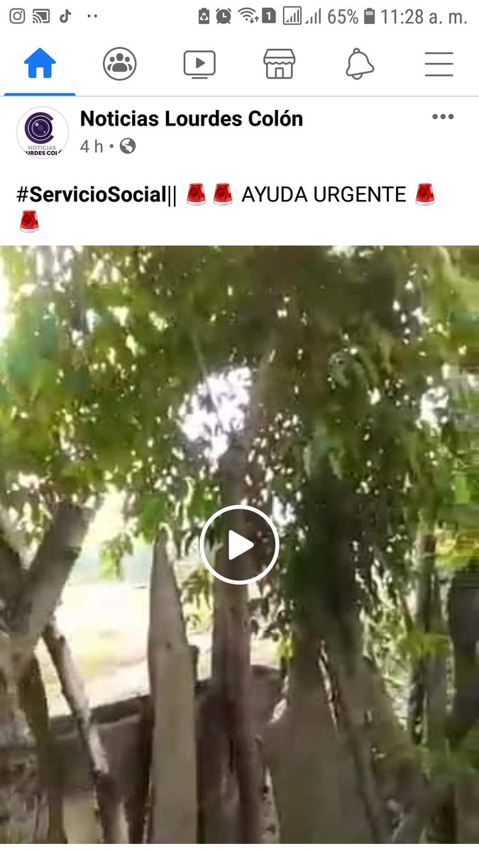 Jeniffe92041154's tweet photo. Esta es la pagina en la que fue publicado seguro ellos saben mas sobre este caso https://t.co/LYXwrjY0AD