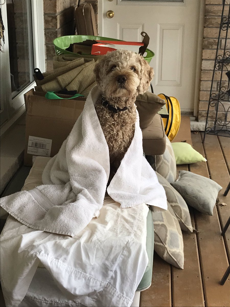Murphy29547703's tweet photo. May I help you? https://t.co/encX6faWWU