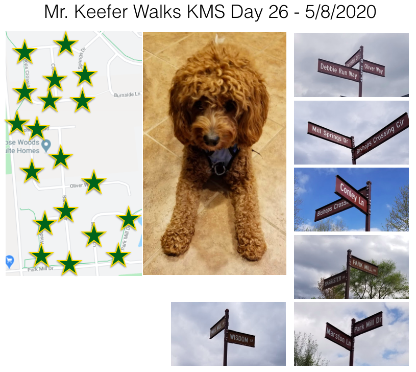 KMSRoom229's tweet photo. Juno and I hopped in the car then parked so we had time to cover a few streets today. I didn't even know that the horse farm on Hyland Croy had moved. Saw a few @KarrerMS Athletics signs - Yeah! #KMSWander https://t.co/ixzZXBm7Kk