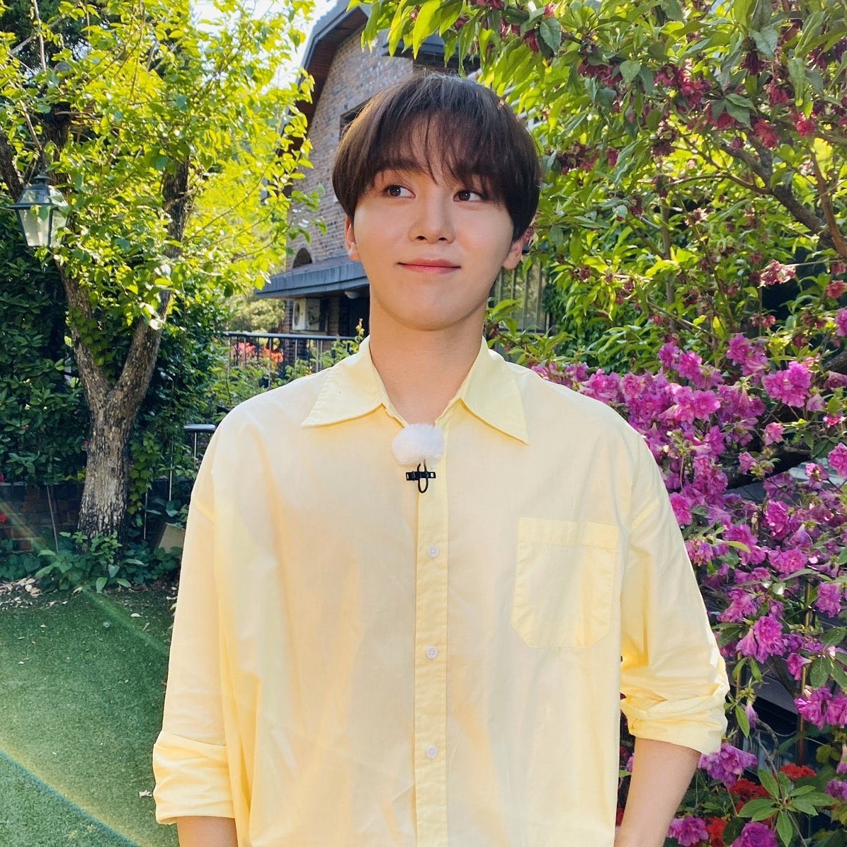 soft seungkwan pics tweet media