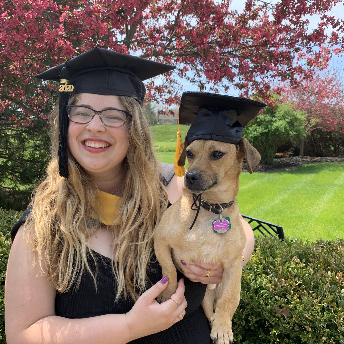 LRosenblatt_'s tweet photo. Congrats to my sister on graduating with a masters in social work, even through a global pandemic! #CSWEOR Be the change https://t.co/2oWvqFJXmw