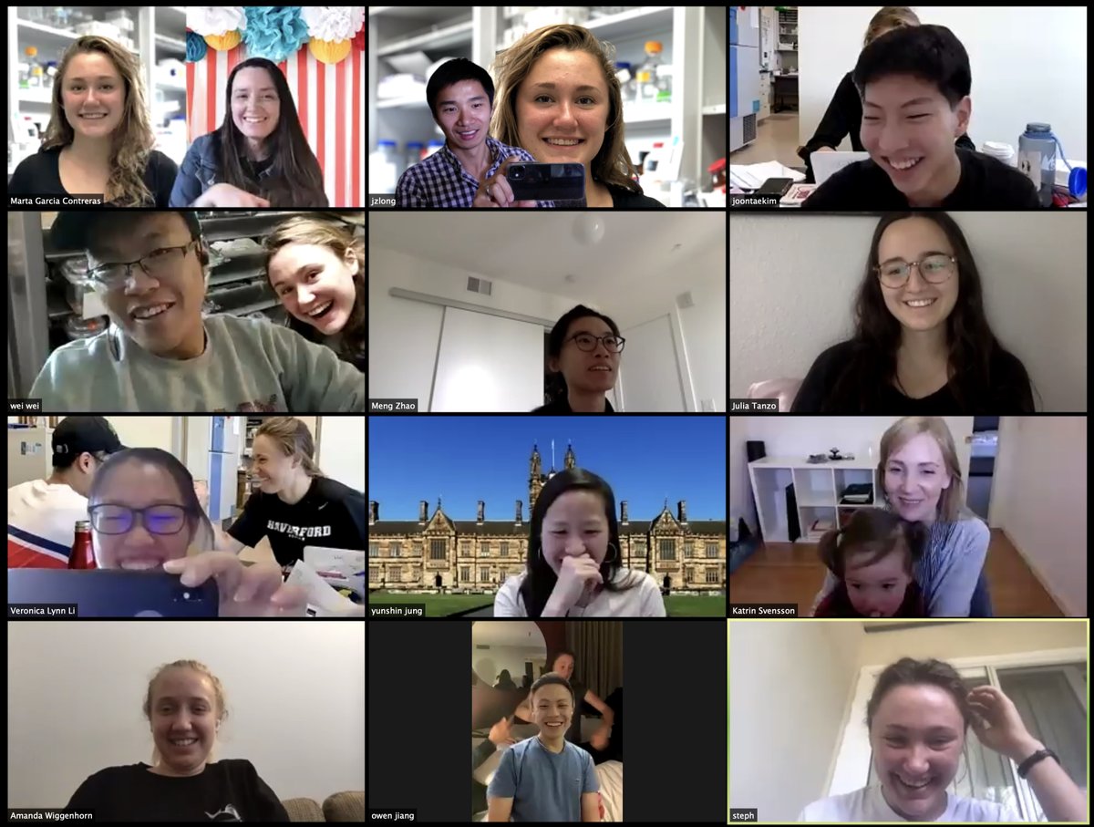 Long Lab tweet media