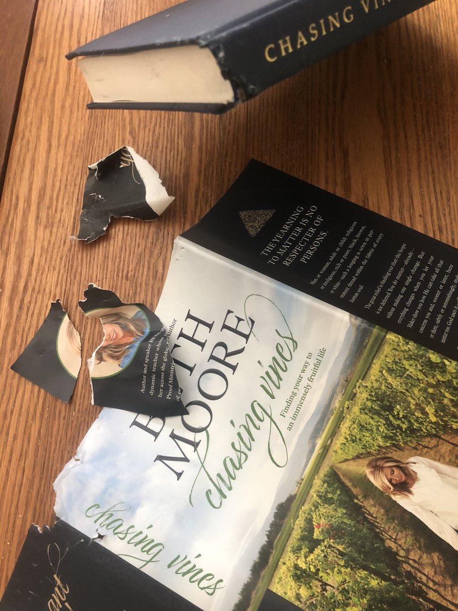 sarajodub's tweet photo. I’m really sorry about this @BethMooreLPM !! I was so excited for your book to get delivered this morning, but I left it within range of the puppy and well... now I can’t find your eyes. 🤣 Thankfully your precious words are still readable!! #puppywoes https://t.co/yBnGXOz3Ad