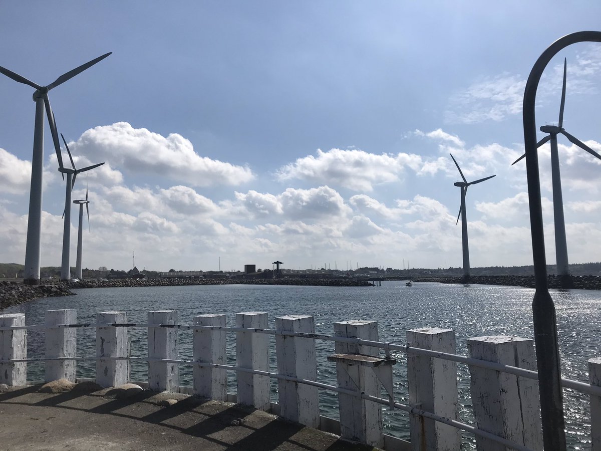 Oliver Nørgaard tweet media