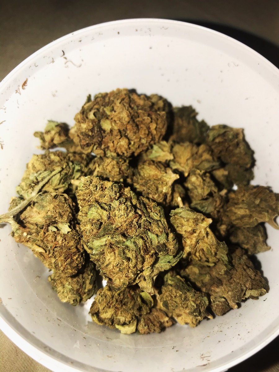 AlsonJones's tweet photo. #weedmaps #theweedtube #gasways #dcweedevents #pillsbury #weedporn #marijuana news #weed tweets #weedconnection.com #marijuanapolicyproject #medicalmarijuana #marijuana stokes #marijuanabeginner #marijuanabusinessdaily #norml https://t.co/wJrnrYrvGu