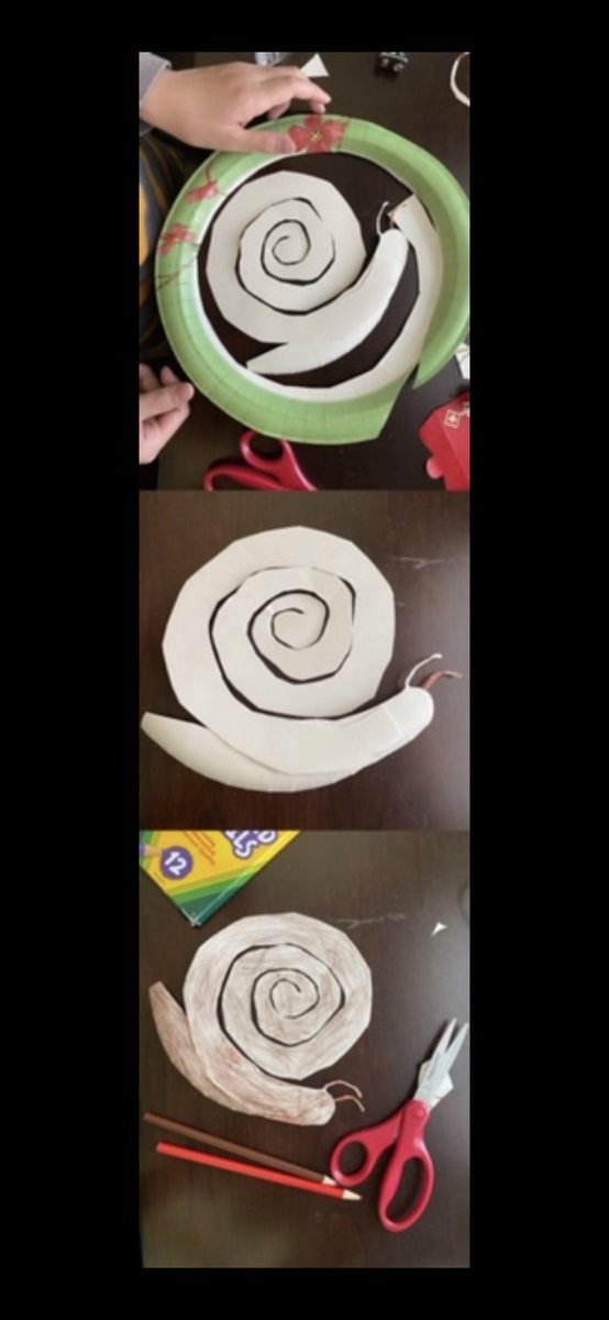 Wellers2ndGrade's tweet photo. STEM Challenge given today was making an animal out of a paper plate! This s Matthew’s snail! Looove it! Way to go Matthew! #STEMeducation #allenisdathome @KerrComets @Allen_ISD @LibraryKerr https://t.co/93KTyvqVOZ