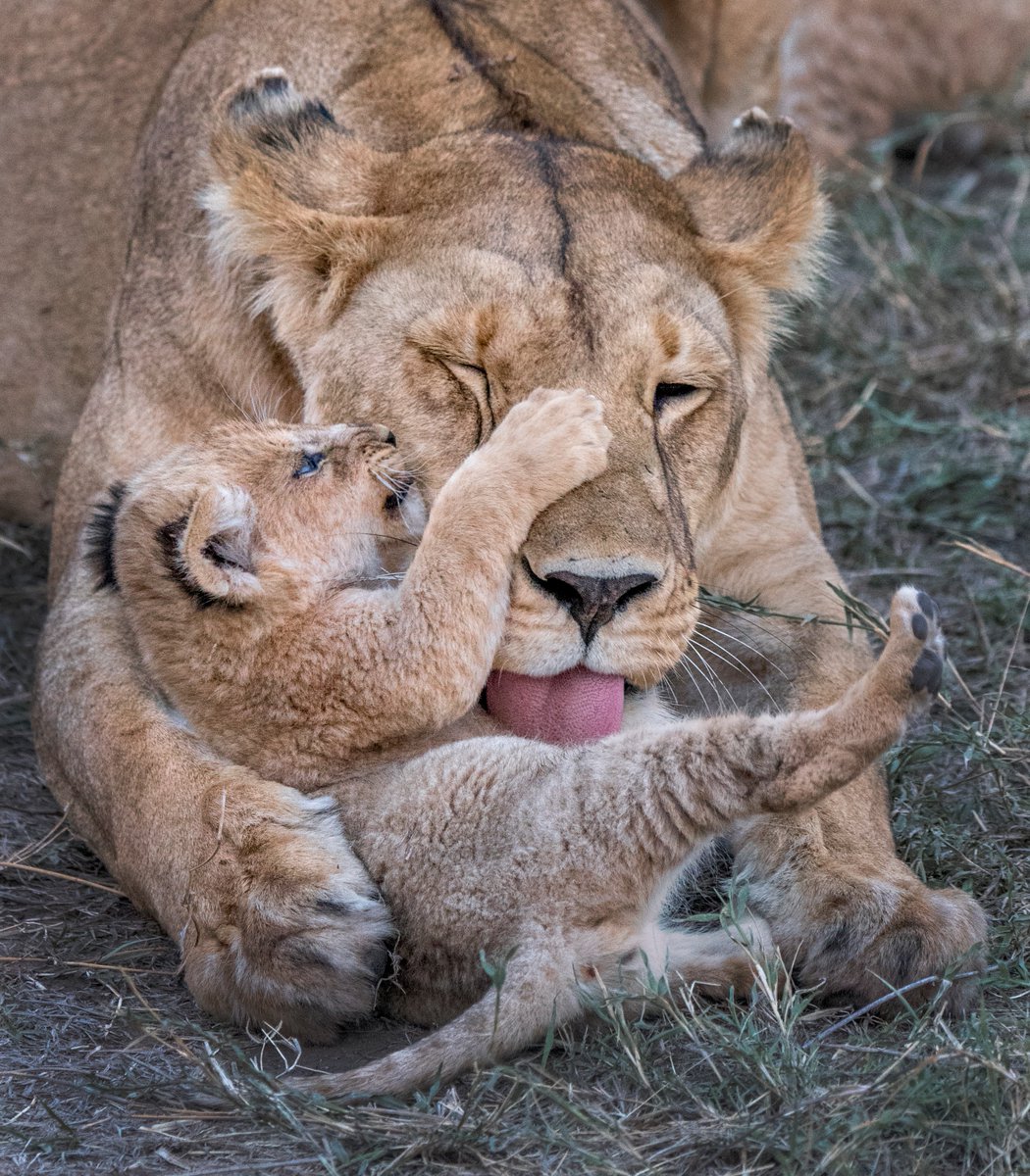 Every day should really be Mother's Day.  💐