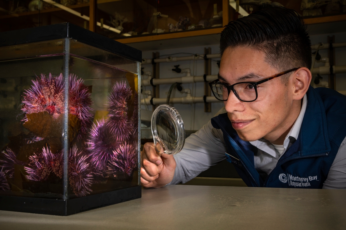 MontereyAq's tweet photo. Attention at-home students and educators! We've got three fresh online courses hot of the digital presses for your enjoyment!
📝Otter Spotters (PreK-2)
📝Birds on the Brain (3-5)
📝 Explore Like a Scientist (3-6 and also available en español)
🔗 https://t.co/7vC6O5hNo6 https://t.co/BlnDvqDkWG